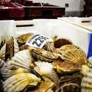 포항행정사사무소 이미지