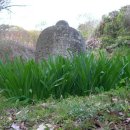 상사화피는마을 이미지