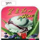 알로하이 네이버블로그