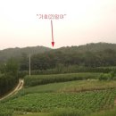 장호원읍-01 네이버블로그