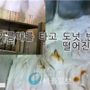 던킨도너츠중대