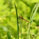 어린이학농원수영장 이미지