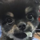 카페오빵 이미지