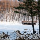 새삼목장 이미지