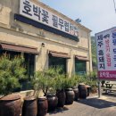 환상3리 | 원주 소금산 출렁다리 막국수 맛집 오겹살에 반한 호박꽃필무렵