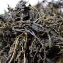 부길농장 이미지