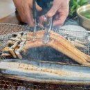 한강민물 이미지