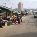 (주)풀과나무 이미지