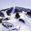 주정차-36 이미지