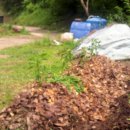 혁이농장 이미지