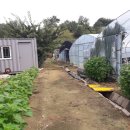 금가면사무소 이미지