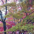 감악산산촌마을 Daum카페