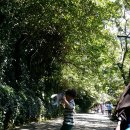 [제주 둘째날] 천지연폭포, 제주삼다국수, 와랑와랑