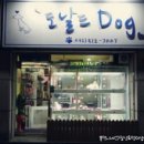 퐁이네 애견 이미지