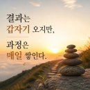 나이스앤이지 | 하루 15분 정리의 힘을 읽고 당근 카페 개설:성공노트 성장 챌린지