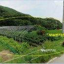 여주-1024 이미지