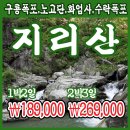 [1박2일/2박3일] 지리산 계곡 트래킹 이미지