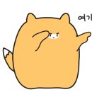 시장카센타 이미지