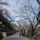 순애농장 이미지