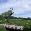 블루원보문컨트리클럽 이미지