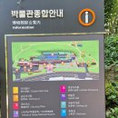 국립대구박물관 쉼터 티스토리