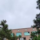 큰솔모텔 네이버블로그