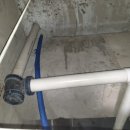 일월프라자 이미지