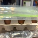 목욕농장 이미지