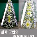 세브란스플라워