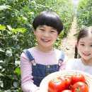 소중농장 이미지