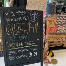 블루아프리카 | 본투비가드너 아프리카 식물 전문점 팝업 잠실 롯데월드몰 I 식물 종류 가격