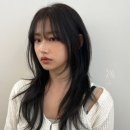플랜에이치 헤어