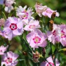 헬씨라이프 이미지