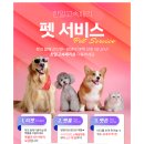 펫배요 | 애견동반 제주 배편이용 후기 : 실버클라우드 펫룸