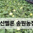 송원농장 이미지
