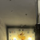 중앙동183 이미지