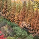 NR-42[경인로]-하-11 | 11월 / 취미 : 정기후원단체 성과보고회 참석