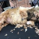 깍고밀고이발 이미지