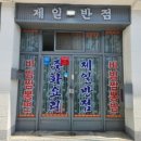 우성반점 이미지