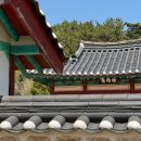 (재)광주그린카진흥원 | 비전공자의 준학예사 필기 합격 이후: 놀랍도록 아무 일도 일어나지 않았다.