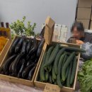 청화산골뫼농원
