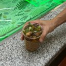 ෆ 대전 지하상가맛집, 성심당 우동야에서 먹은 시원한 컵우동 후기(+지하상가 물품보관소)