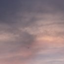 의령민박 | [공지] 행복한 7월 🫶🏻💐