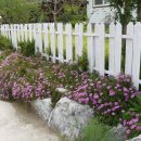 인동1리 이미지