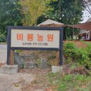 비룡농원 이미지