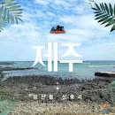 신천리농촌체험휴양마을 | (제주 서귀포 / 성산읍 신풍리 #1) 바다와 산의 정취...수 있는 아름다운 마을. 신풍리 여행 <검은데기...
