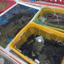 윤정상회 이미지