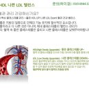 머리에서발끝까지 이미지
