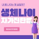 짐오브선셋 이미지