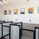 로라펫 하우스 이미지